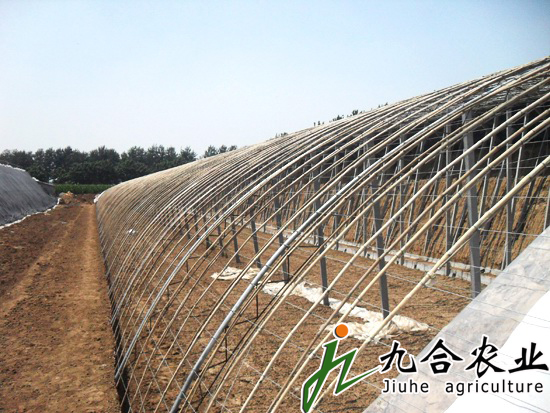 鋼架溫室|溫室大棚|溫室大棚建設(shè)|溫室大棚造價|溫室大棚圖片|溫室大棚建造 鋼架溫室|溫室大棚|溫室大棚建設(shè)|溫室大棚造價|溫室大棚圖片|溫室大棚建造