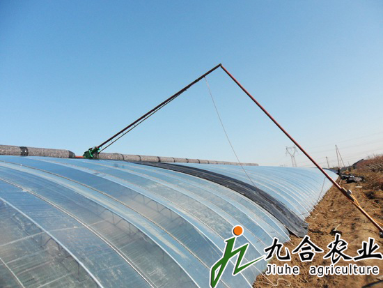 鋼架溫室|溫室大棚|溫室大棚建設(shè)|溫室大棚造價|溫室大棚圖片|溫室大棚建造 鋼架溫室|溫室大棚|溫室大棚建設(shè)|溫室大棚造價|溫室大棚圖片|溫室大棚建造
